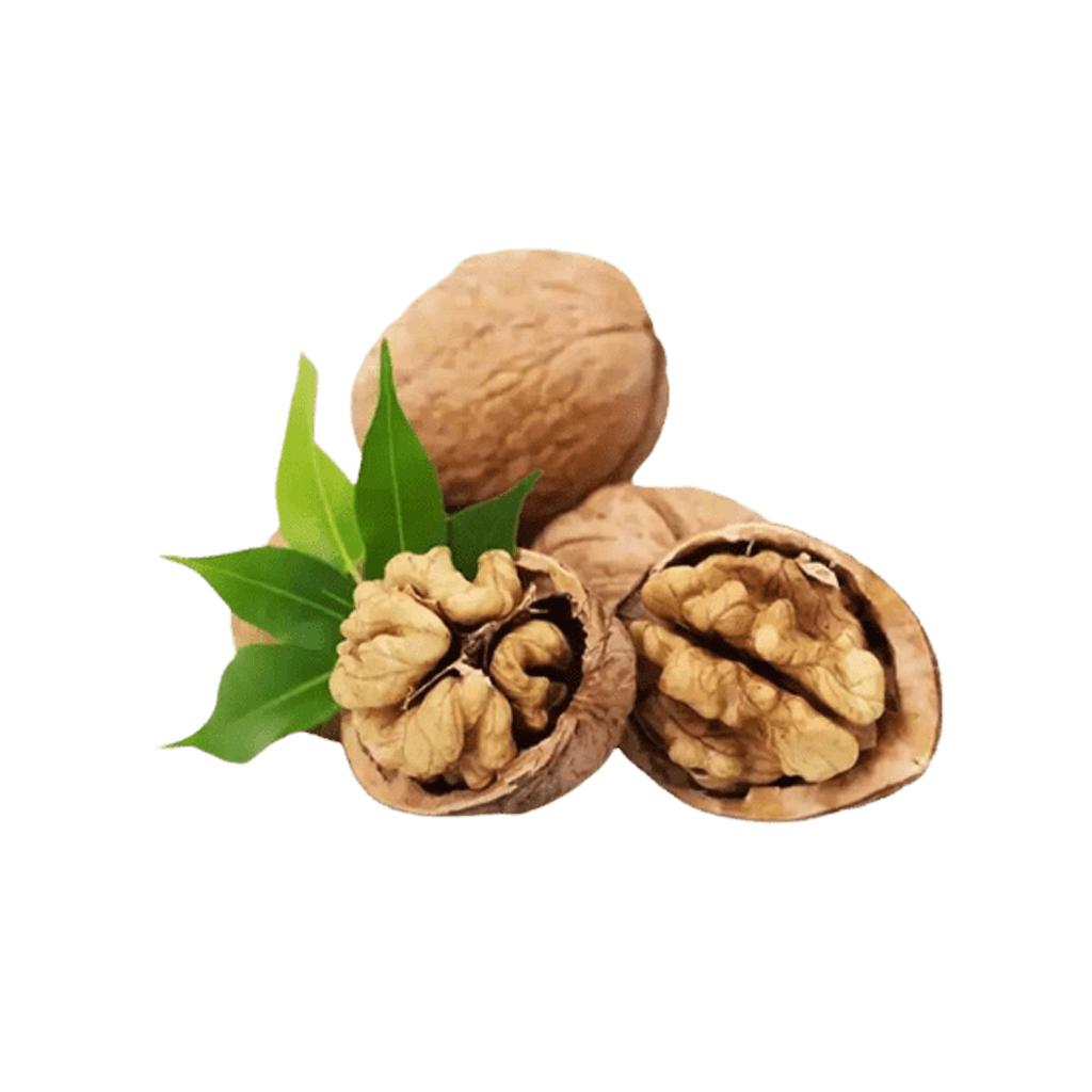 TAKORA MART Walnut