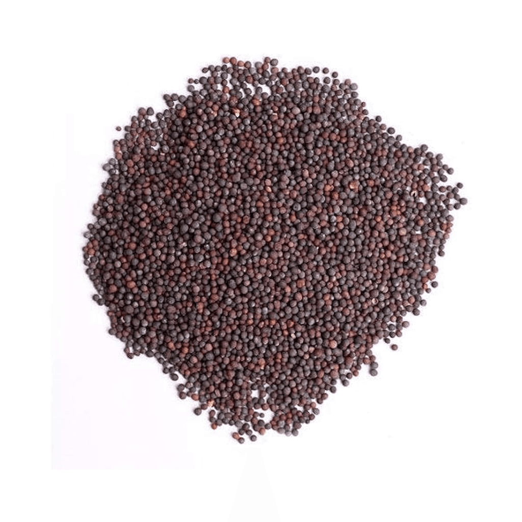 TAKORA MART Small Mustard