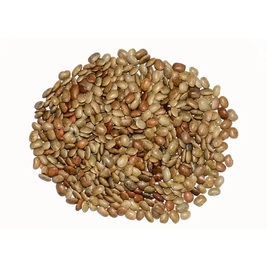 PREMIUM HORSE GRAM