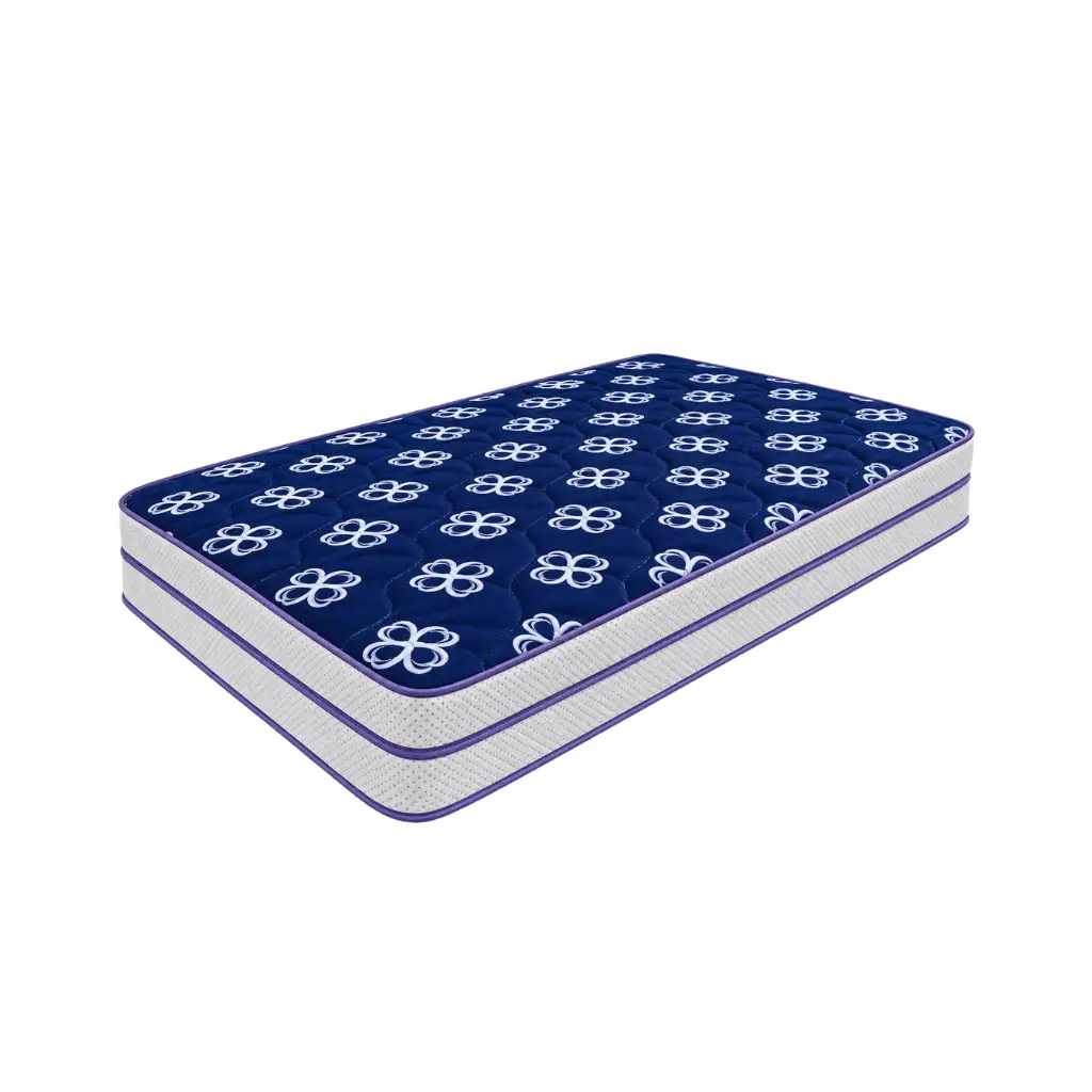 Picasso Back Support King Mattress