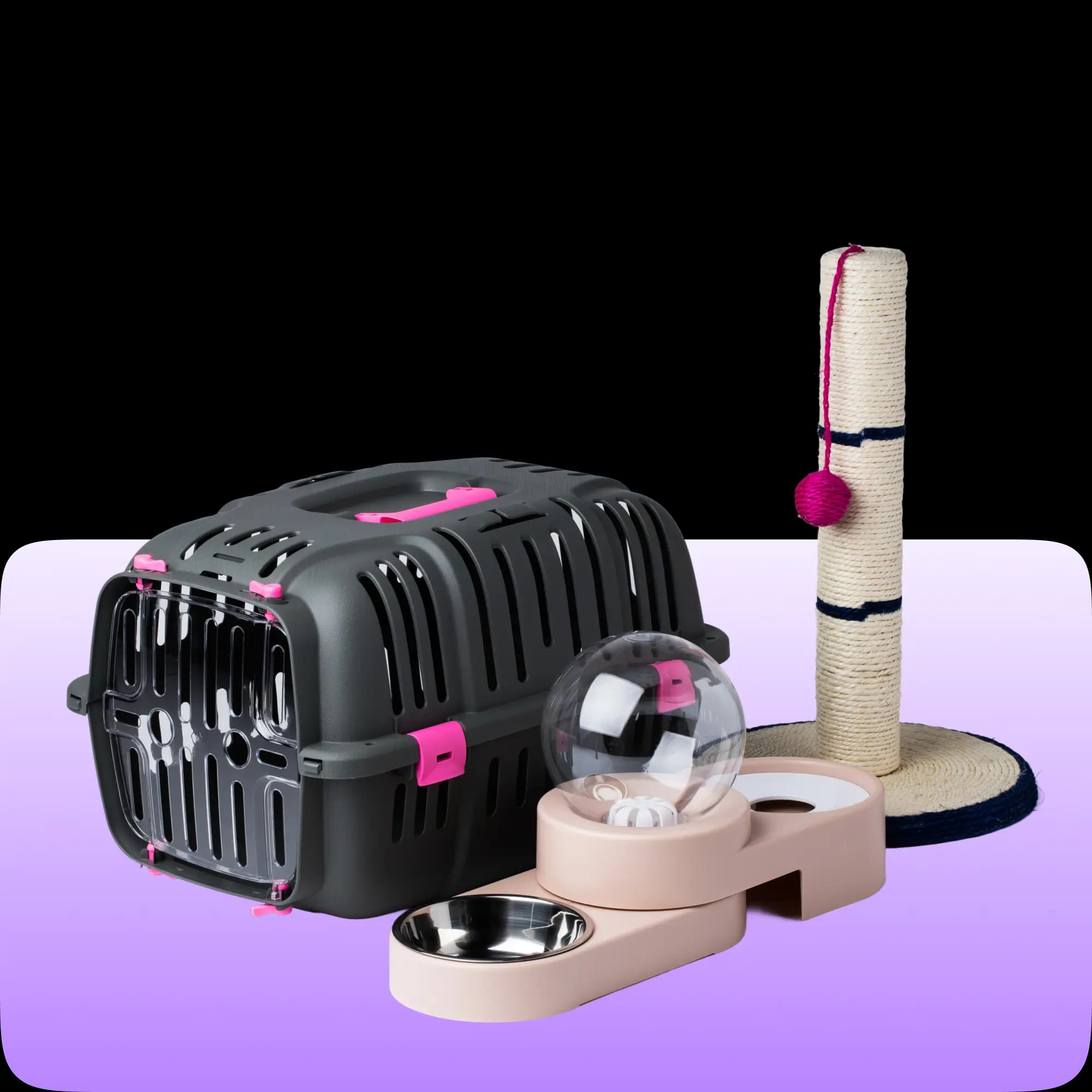 Buy pet food and accessories online in India