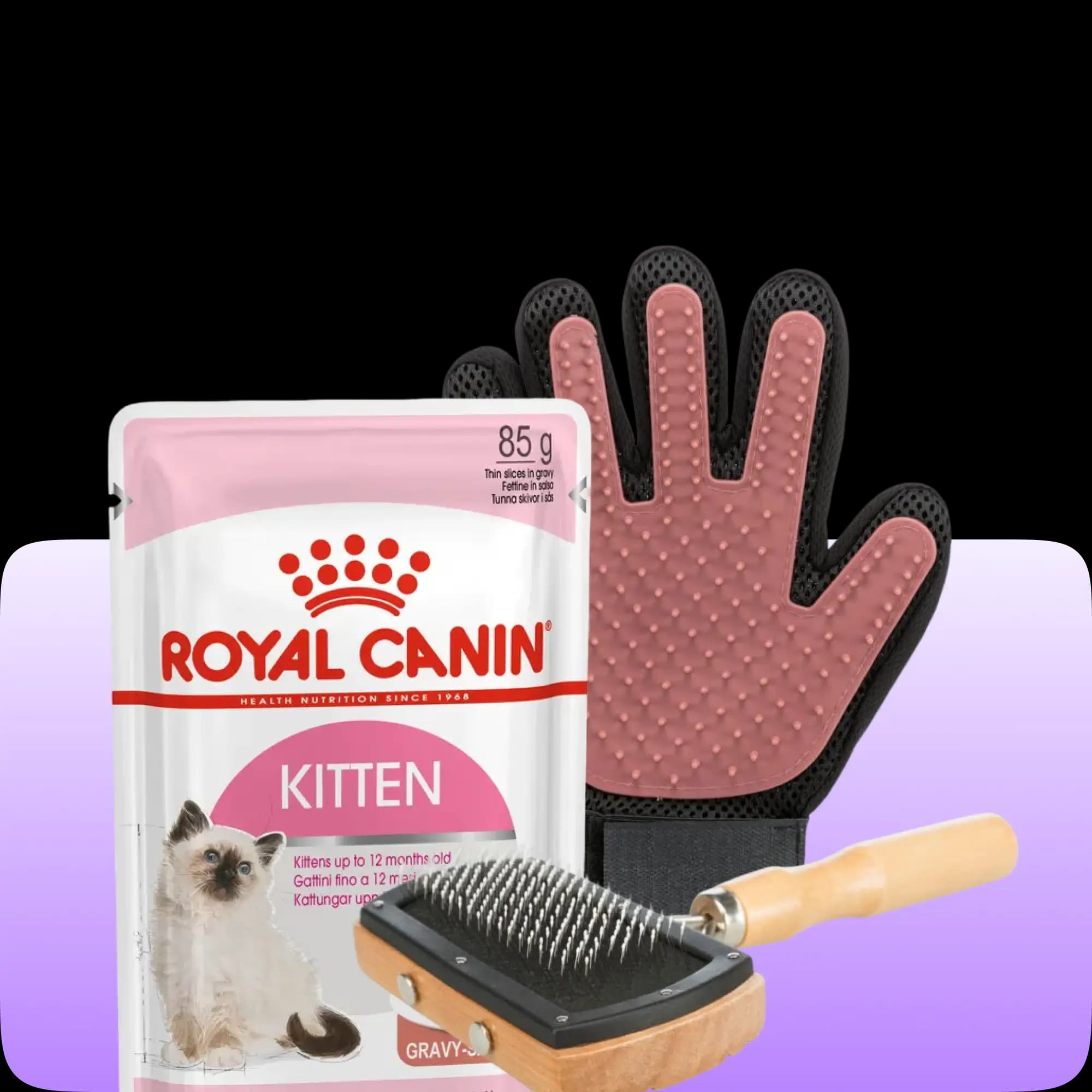 Buy pet care products online for grooming and hygiene