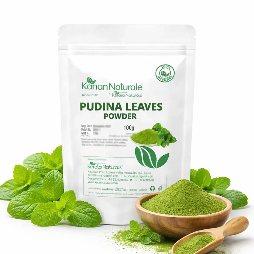KERALA NATURALS - PUDINA LEAVES POWDER 100G